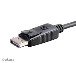 AKASA adaptér DisplayPort na DVI, 0,2m