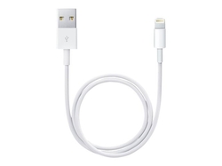 Apple Lightning datový kabel USB - 0,5m (me291zm/a)