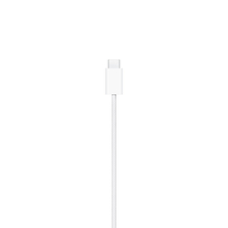 Apple MagSafe Charger (1m) (MX6X3ZM/A)