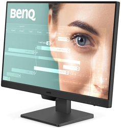 BENQ GW2490