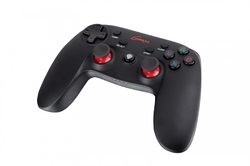 Bezdrátový gamepad GENESIS PV65 (FOR PS3/PC)