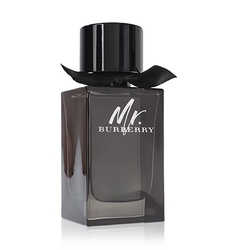 Burberry Mr. Burberry EdP 100 ml Pro muže