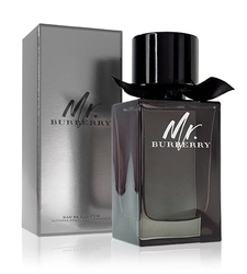 Burberry Mr. Burberry EdP 100 ml Pro muže