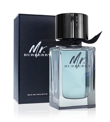 Burberry Mr. Burberry EdT 100 ml Pro muže