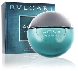 Bvlgari Aqva Pour Homme EdT 100 ml