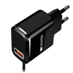 CANYON Univerzální 1xUSB nabíječka do sítě s ochranou proti přepětí, Micro USB Input 100V-240V, černá (CNE-CHA041BS)