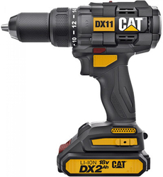 CAT DX11