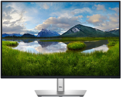 DELL P2425 Professional (210-BMJD)