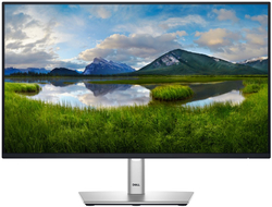 DELL P2425HE Professional (210-BMJB)