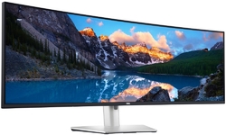 DELL U4924DW UltraSharp (210-BGTX)