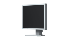 EIZO S2133-GY 21,3˝