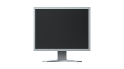 EIZO S2133-GY 21,3˝