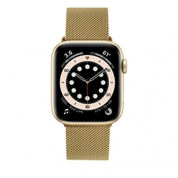 Fixed Mesh Strap síťovaný nerezový řemínek pro Apple Watch 42/44/45mm, zlatý