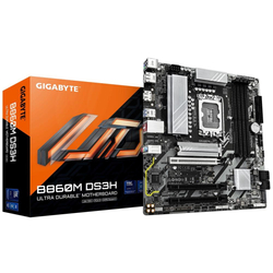 GIGABYTE B860M DS3H