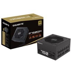 GIGABYTE P750GM, 750W