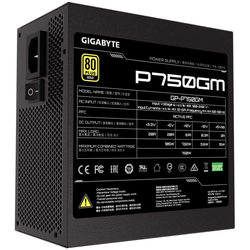 GIGABYTE P750GM, 750W