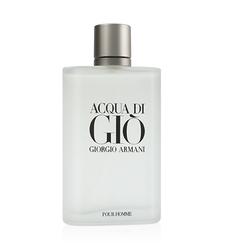 Giorgio Armani Acqua di Gio Gio Pour Homme EdT 100ml