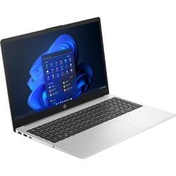 HP 255 G10 (AK9W6AT)