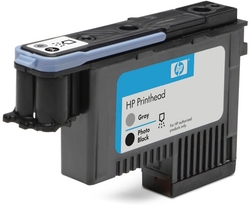 HP 72 Photo Black and Gray Printhead