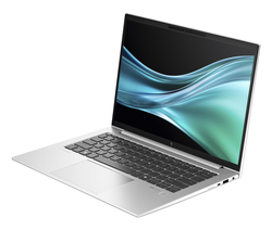 HP EliteBook 845 G11 (9G1A6ET)