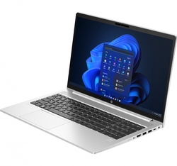 HP ProBook 450 G10 (817S2EA)