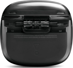 JBL Tune Flex 2 Ghost Black