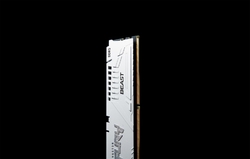 Kingston Fury Beast White DIMM DDR5 16GB 5200MHz, Intel XMP, bílá