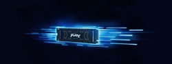 Kingston SSD Fury Renegade 500GB NVMe