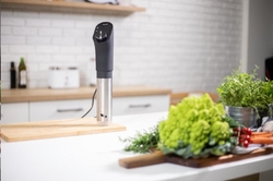 Lauben Sous Vide Stick SV01