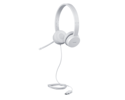 Lenovo 110 Stereo USB Headset