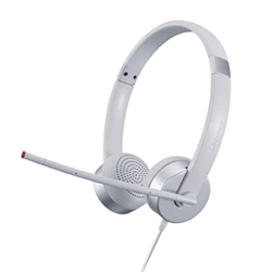 Lenovo 110 Stereo USB Headset