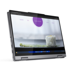 Lenovo ThinkBook 14 2-in-1 G4 IML Luna Grey (21MX000VCK)