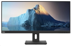 Lenovo ThinkVision E29w-20 29" (62CEGAT3EU)