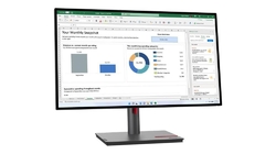 Lenovo ThinkVision P24Q-30 (63B4GAT6EU)