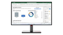 Lenovo ThinkVision P24Q-30 (63B4GAT6EU)