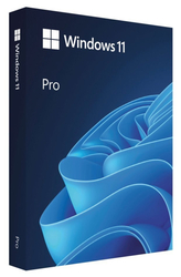 MS Windows 11 Pro (HAV-00178)