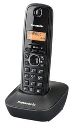 Panasonic KX-TG1611FXH