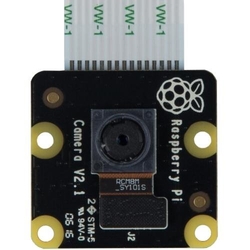 Raspberry Pi NoIR Camera Module V2