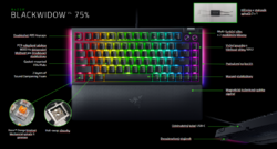 Razer BlackWidow V4 75%, US