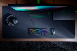 Razer Huntsman Mini (Purple Switch), US