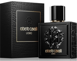 Roberto Cavalli Uomo EdT 100 ml Pro muže