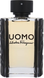 Salvatore Ferragamo Uomo EdT 100ml