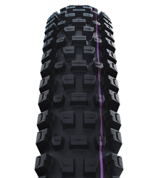 Schwalbe plášť Albert 29x2.50 GRAVITY PRO TLR AddixUltraSoft radial skládací