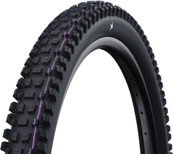 Schwalbe plášť Albert 29x2.50 GRAVITY PRO TLR AddixUltraSoft radial skládací