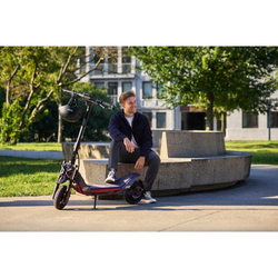 Segway eKickScooter ZT3 Pro E