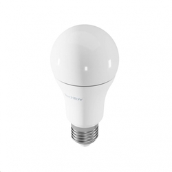 TechToy Smart Bulb RGB 9W E27 ZigBee