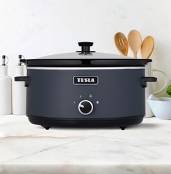 TESLA SlowCook S500