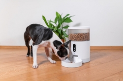 Tesla Smart Pet Feeder Camera