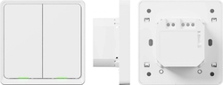 Tesla Smart Switch Dual