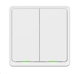 Tesla Smart Switch Dual ZigBee